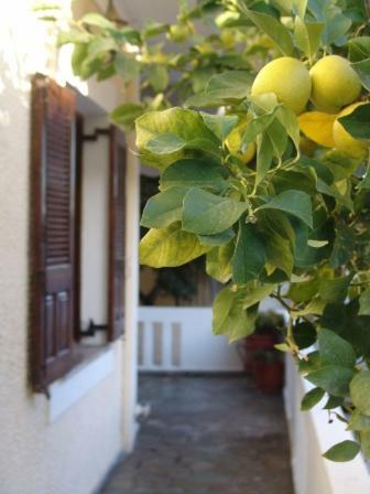 Artistica Villa Ermioni Esterno foto